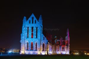 goth whitby 138.jpg